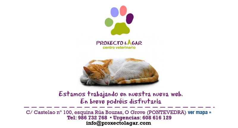 Proxecto Lagar - Centro Veterinario en O Grove